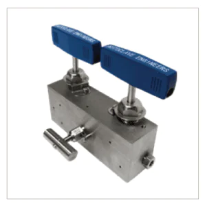 Manifold